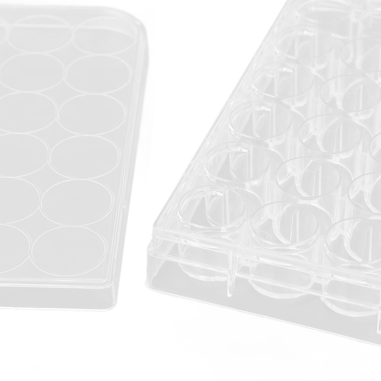 10 Pcs Plaque Culture, Boîte Pétri en Polystyrène Plaque Culture Cellulaire Épaisseur Uniforme Transparent Plaque Culture Tissus Plaque Traitée de Culture Tissus Paquet (24 Eh
