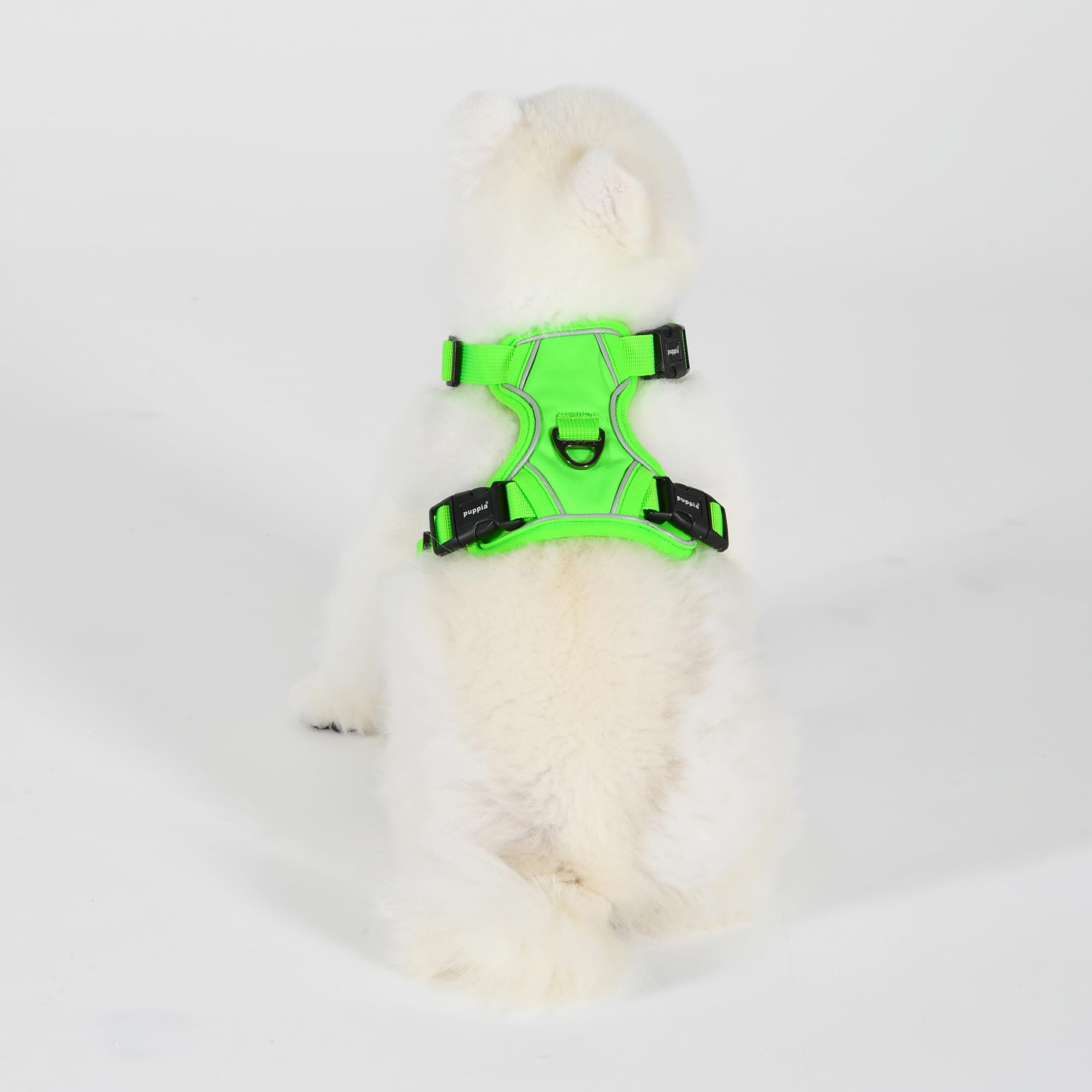 NEON HARNESS H Pettorina per cani S Verde
