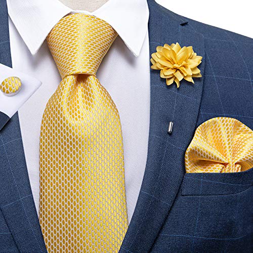 Image of DiBanGu Silk Ties for Men Necktie and Lapel Pin Brooch Set Formal Woven Paisley Plaid Striped Solid Tie Wedding Party