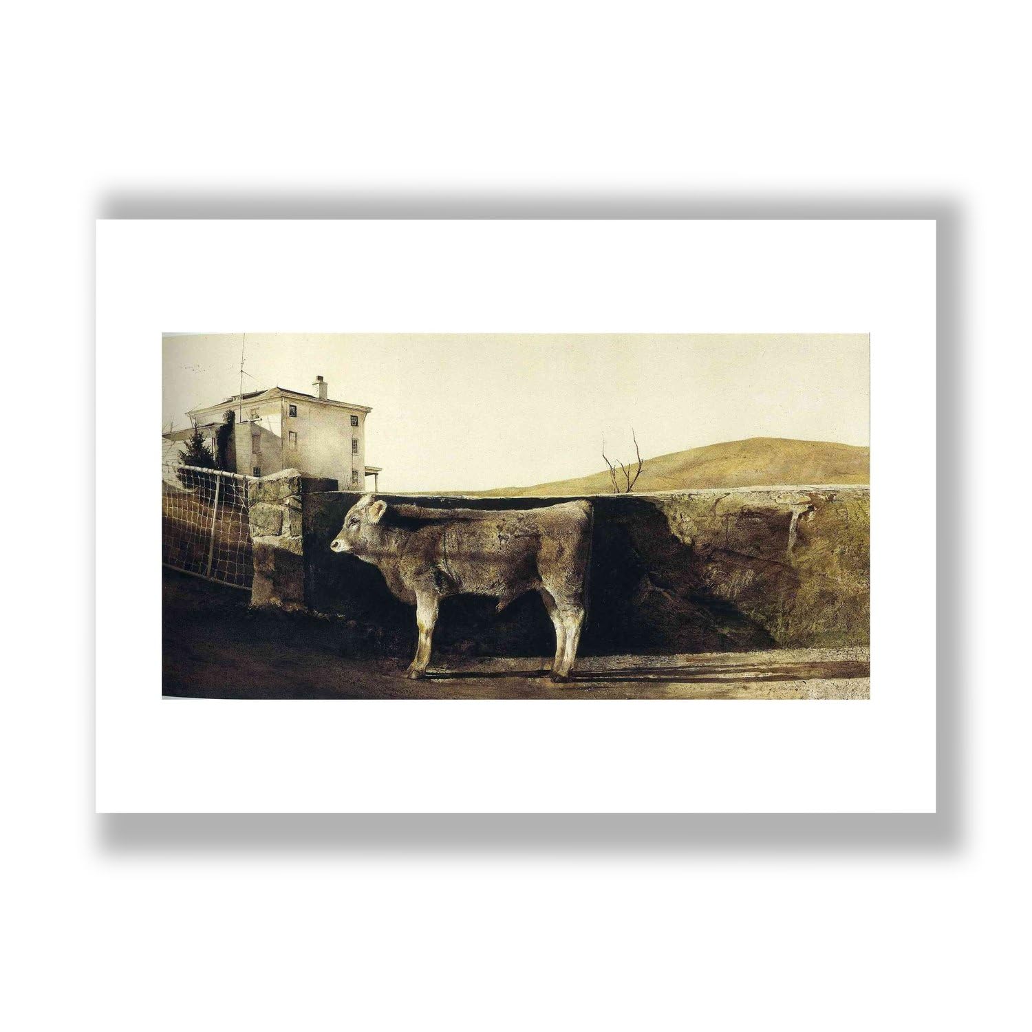 Lámina de arte Andrew Wyeth Young Bull, perfecta para decorar tu salón con estilo 7