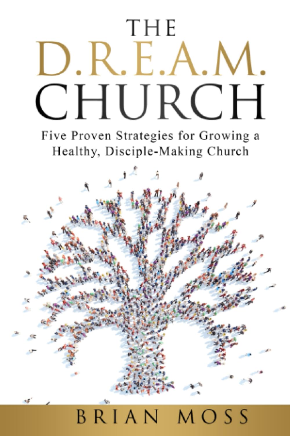 The D.R.E.A.M. Church: Five Proven Strategies for Growing a Healthy, Disciple-Making Church
