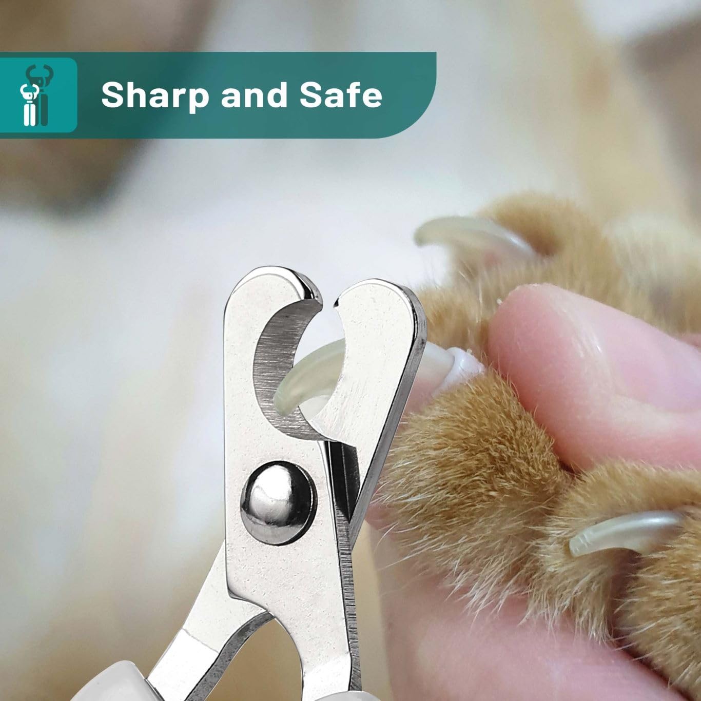 Mr. Pen Cat Nail Trimmer - Cat Nail Clippers - Olive - Stainless Steel Blades - Safe & Easy Nail Trimming for Cats of - image 3