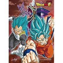 Dragon Ball Z Wall Scroll, Poster, One Size, Multicolor