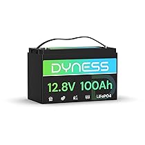 Dyness Batteria Litio 12V 100Ah LiFePO4 a Ciclo profondo con 100A BMS, Protezione Dalle Basse Temperature, Max. 15000 cicli, per Camper, Impianti Solari off-grid, Fotovoltaico Accumulo