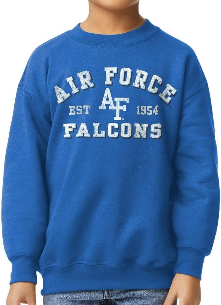 Barnesmith NCAA Unisex Youth Crewneck Sweatshirt, Vintage Logo, Color