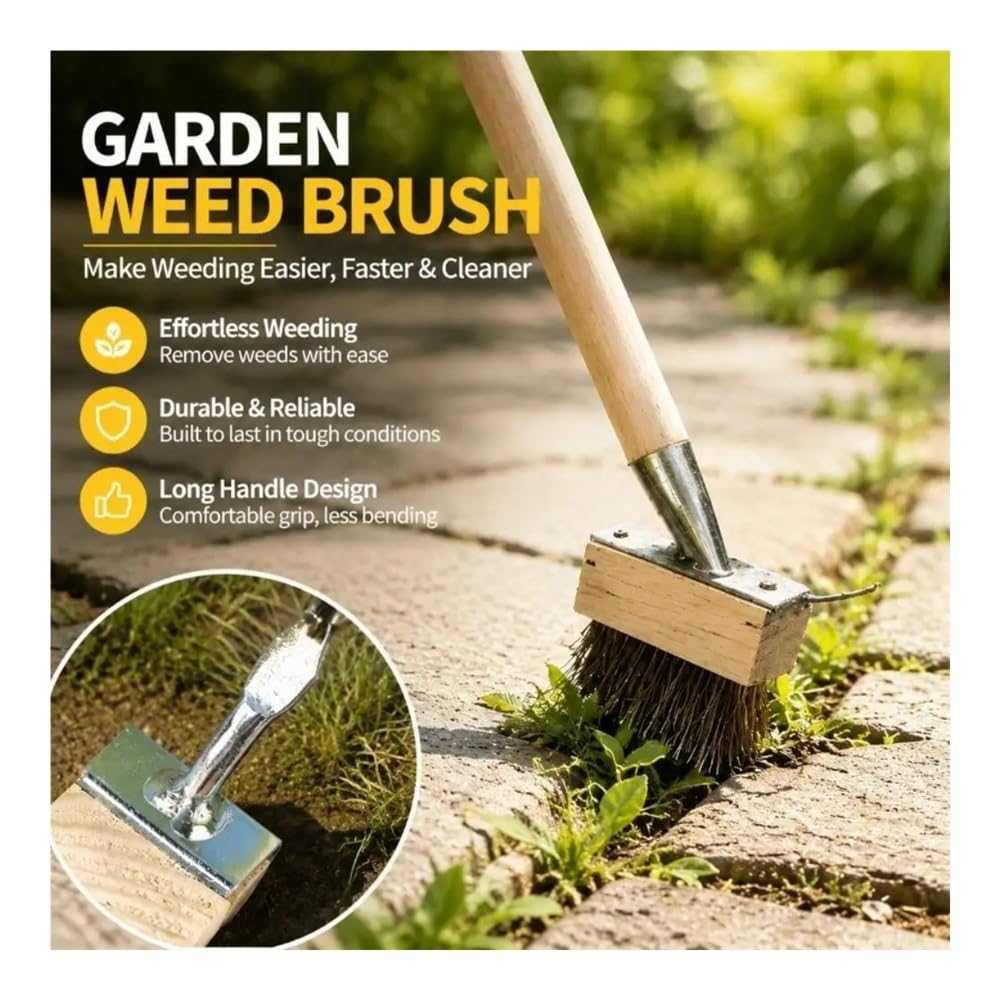 Brosse de désherbage en Fil d'acier Inoxydable, Manche Long for l'élimination de la Mousse des Mauvaises Herbes dans Les allées et Les Jardins(Color 2)