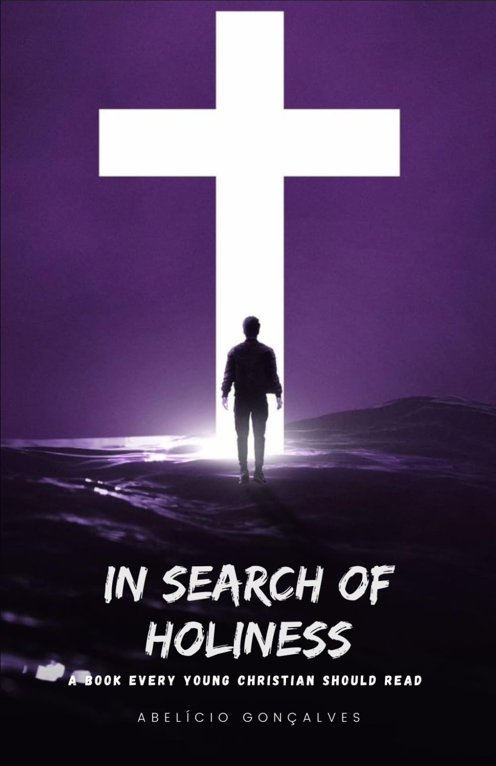 In Search of Holiness: A Book Every Young Christian Should Read