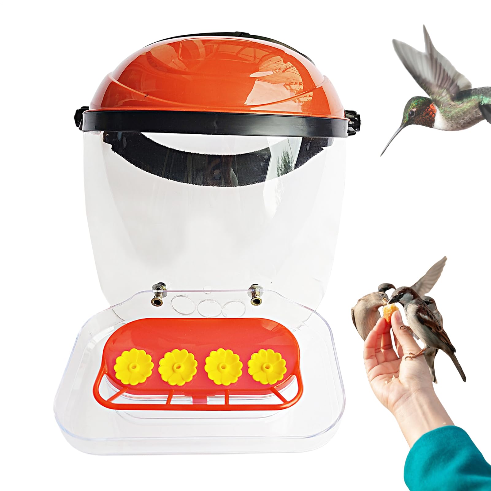 Couvre-visage mains libres pour colibri : accessoire d'observation haut de gamme pour terrasse