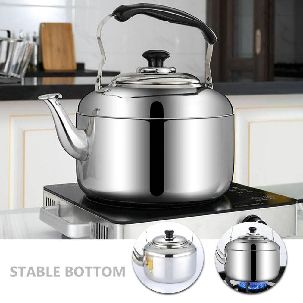 Tetera Silbante de Acero Inoxidable para Estufa 4l Plata