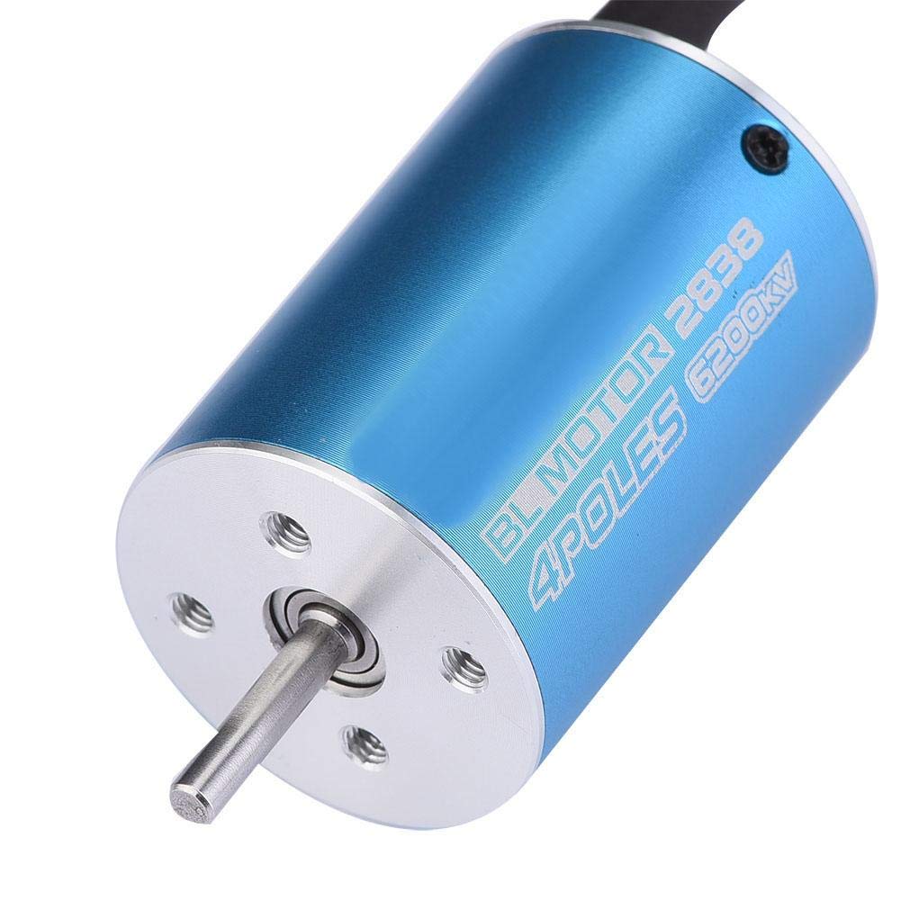 Dilwe Motor sin Escobillas del Coche RC, 4 Postes 2838 4700KV / 6200KV Motor sin Escobillas para 1/12 1/14 RC Accesorio de la Pieza del Coche(6200KV