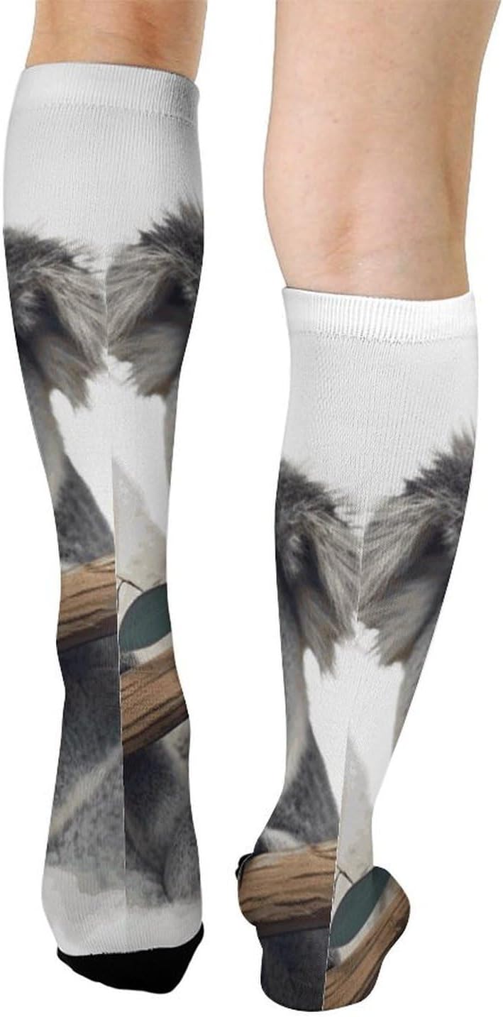 Knee High Socks Koalas Long Tube Boot Seamless Toe