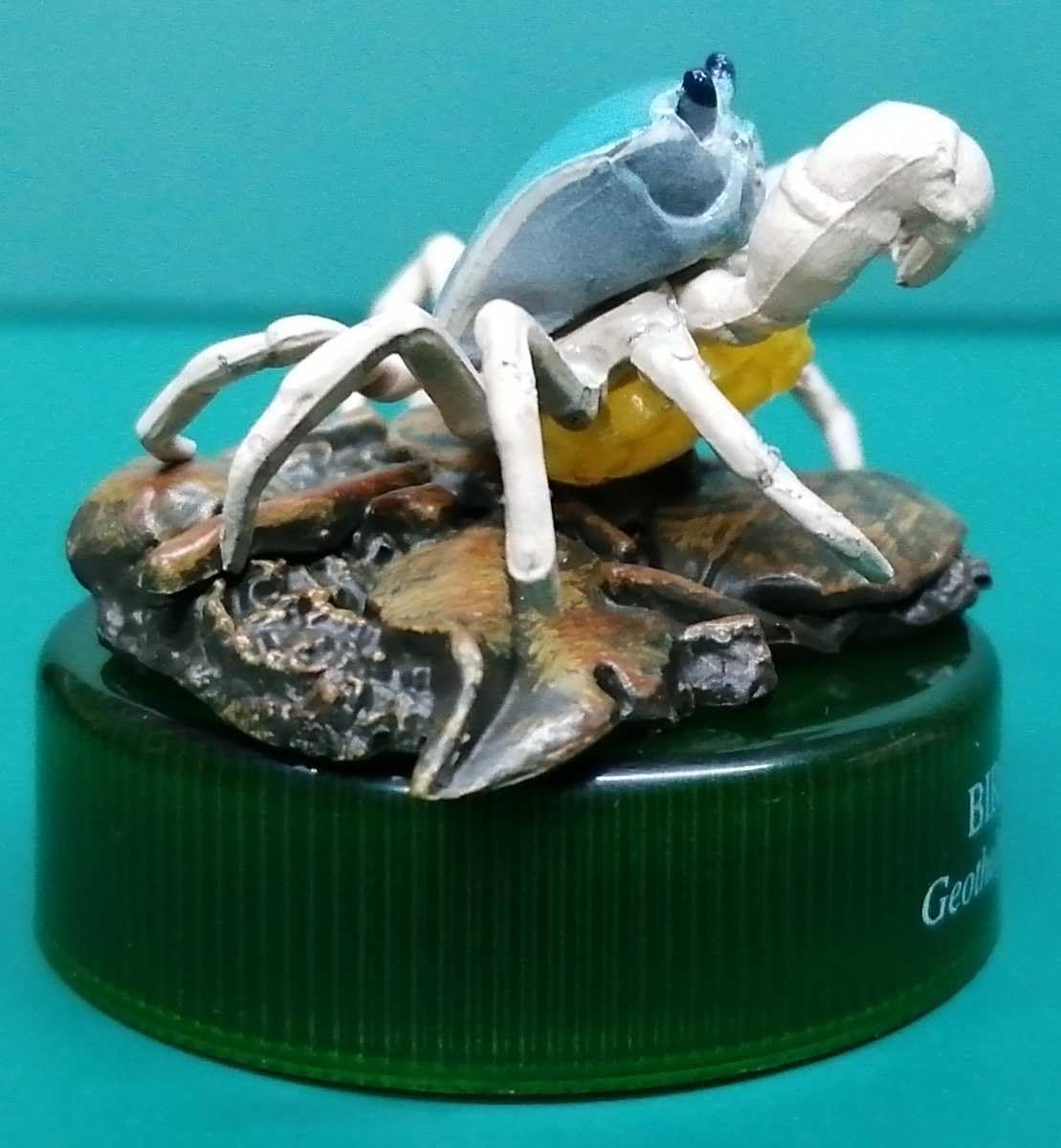 サワガニ様用 Amazon | サワガニ 沢ガニ 沢蟹 蟹 かに カニ フィギュア