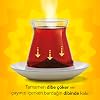 Lipton Single Dem Instant Brew Tea