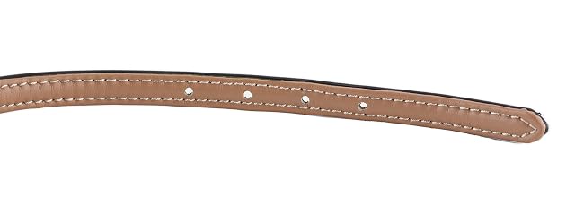 Foto 5 de 8 de Brute Strength - Collar Perro - Verde Oscuro - S · 26–33 x 1,5 cm