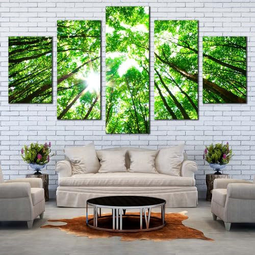 Affiche Decoration Murale Sunrise | Connectez votre Intérieur à la Nature