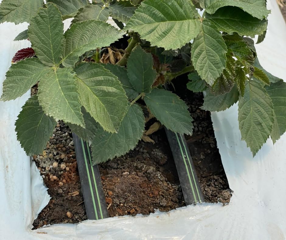 Manichetta Gocciolante Pluvio d. 16-8 mil 250 metri | 2 litri Orto, Giardino, Kit Irrigazione (500 m passo 30 cm)