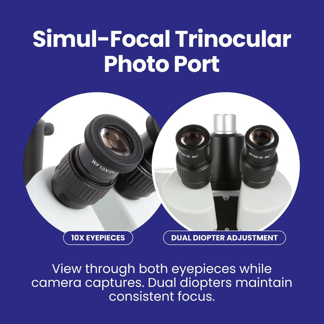 Amazon.com: AmScope SM-4TPZ Professional Trinocular Stereo Zoom