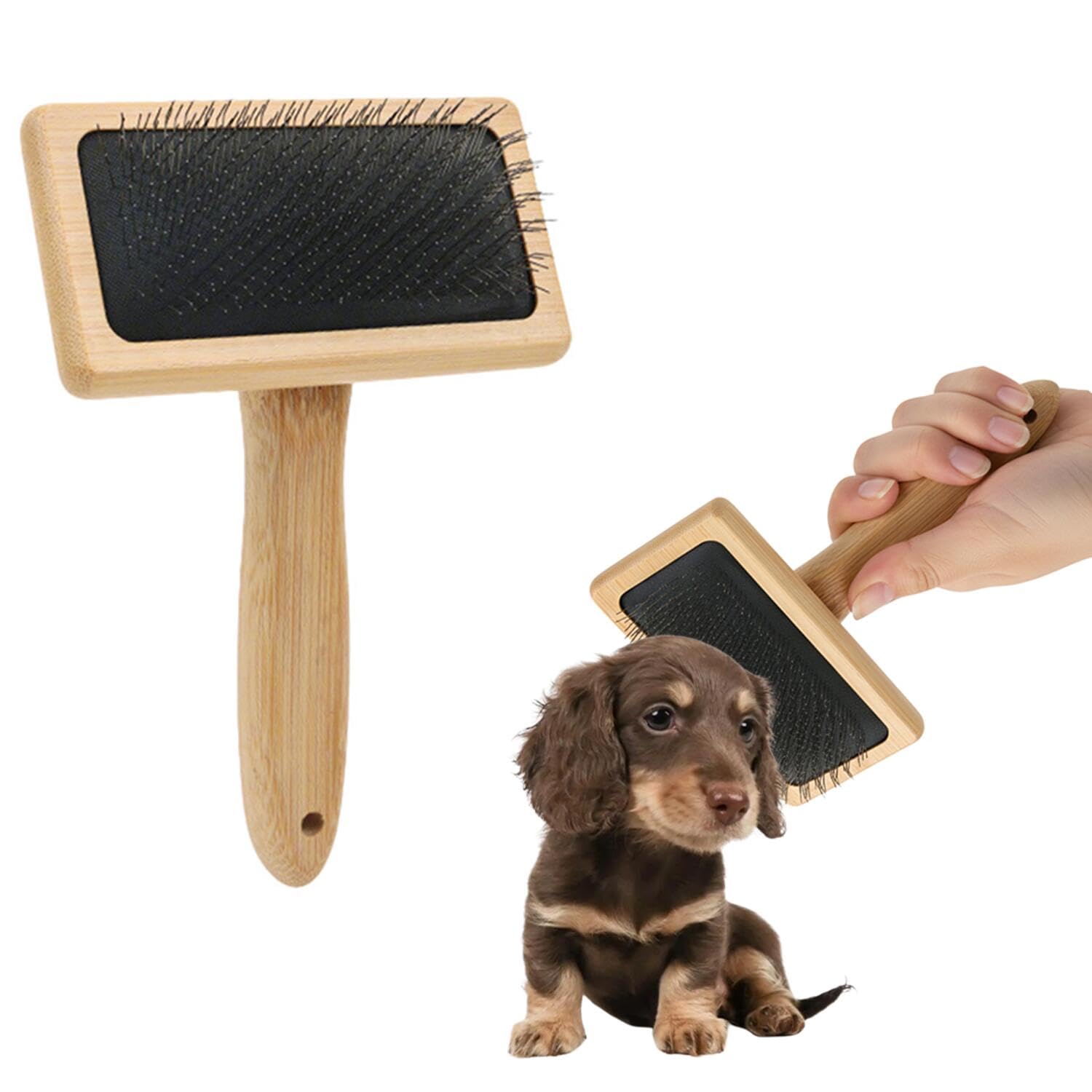 Amazon.co.jp: Lifetips ダックスフンド犬種 ダックス ペット用