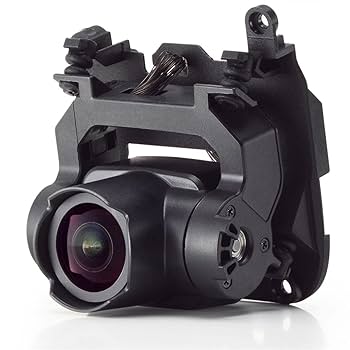 Amazon.com : DJI FPV Gimbal Camera : Electronics