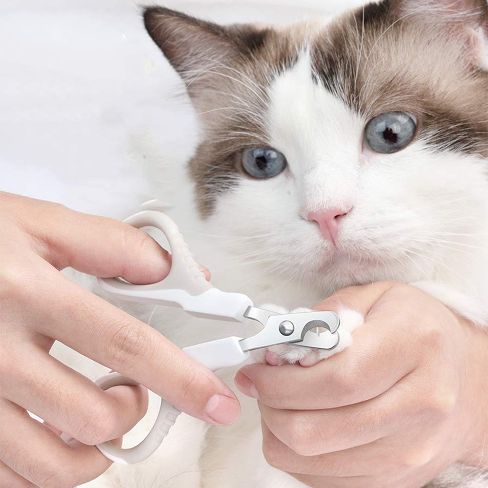 猫 の 爪 切り ハサミ