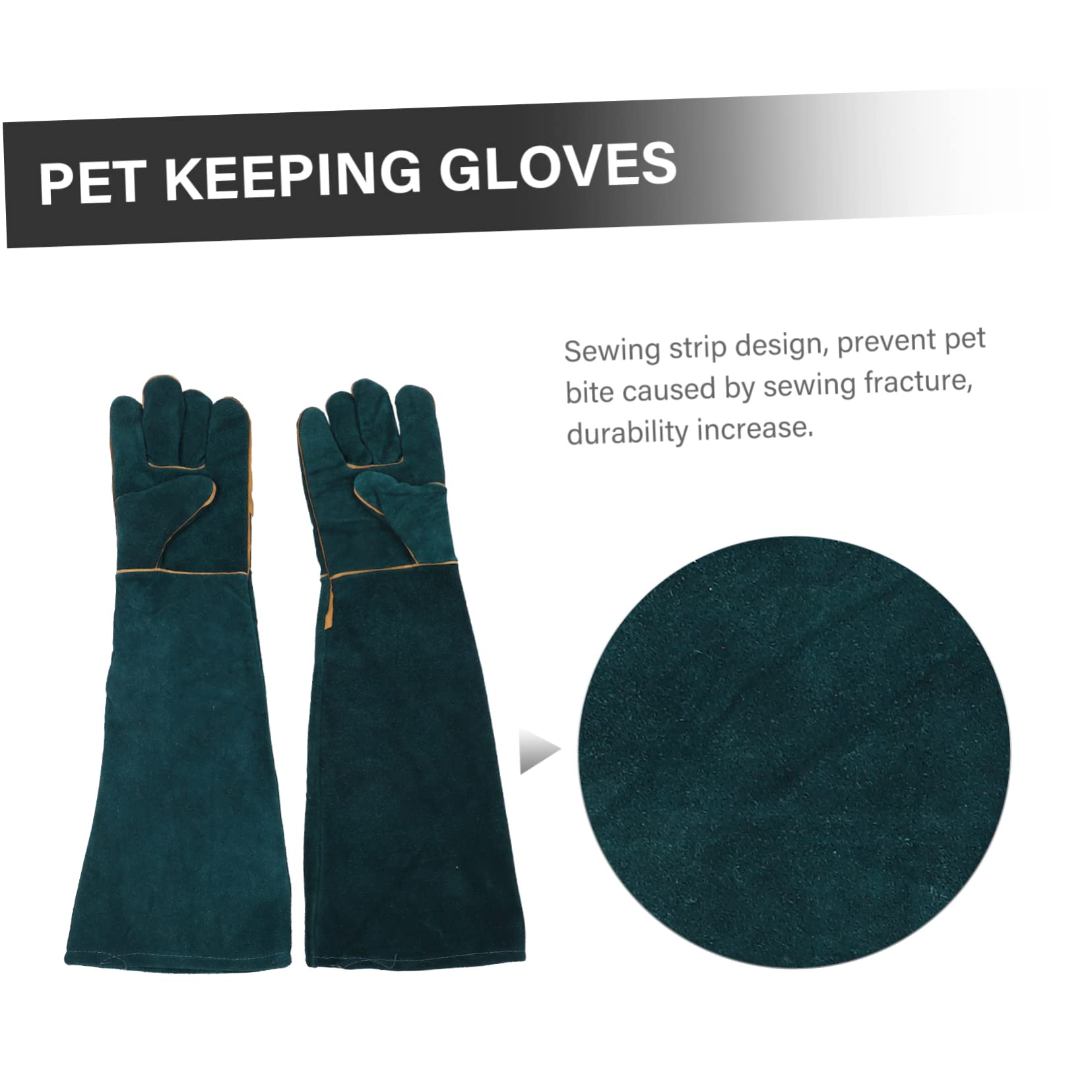 BESPORTBLE 2pièces De De pour Animaux De pour Animaux De Compagnie Résistants Aux Morsures pour Reptiles Et Rongeurs