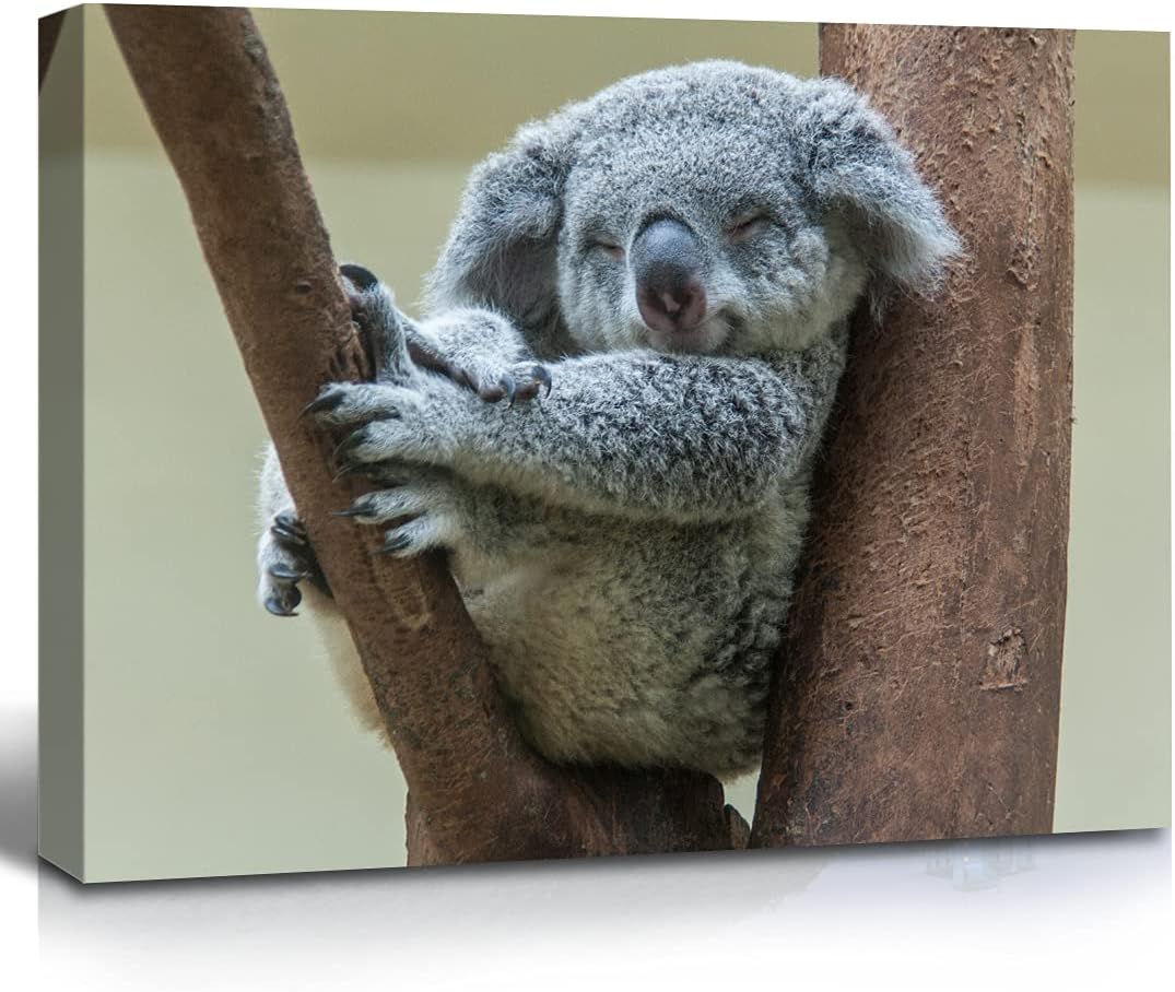 JOWOROLO Kids Room Decor Koala Wall Art Cute Koala Smiling on Branches Wild Animal Canvas for Nursery Living Room, 12"x16" Framed