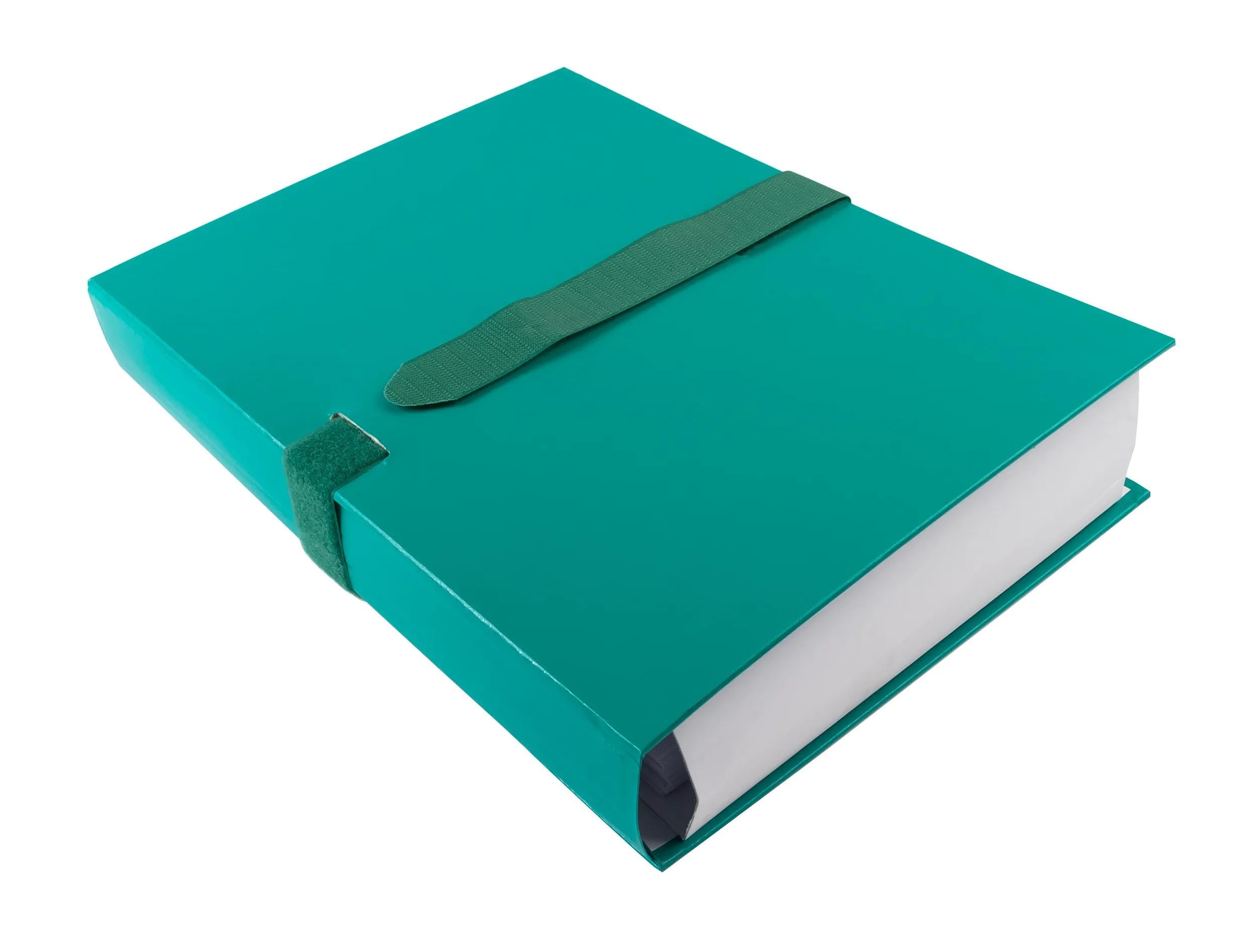 Exacompta 10 Cartelle Soffietto Balacron Verde