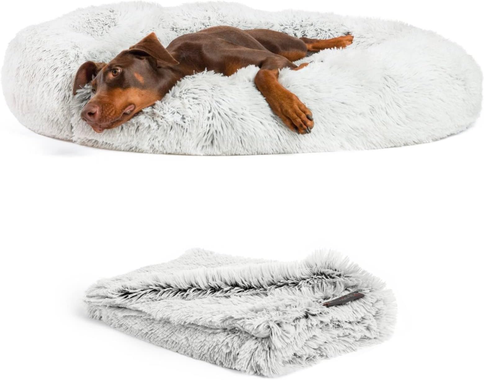 bunty foldable elevated dog bed