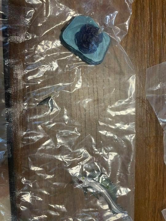 海の生き物4点セット ネイチャーテクニカラー 海洋堂