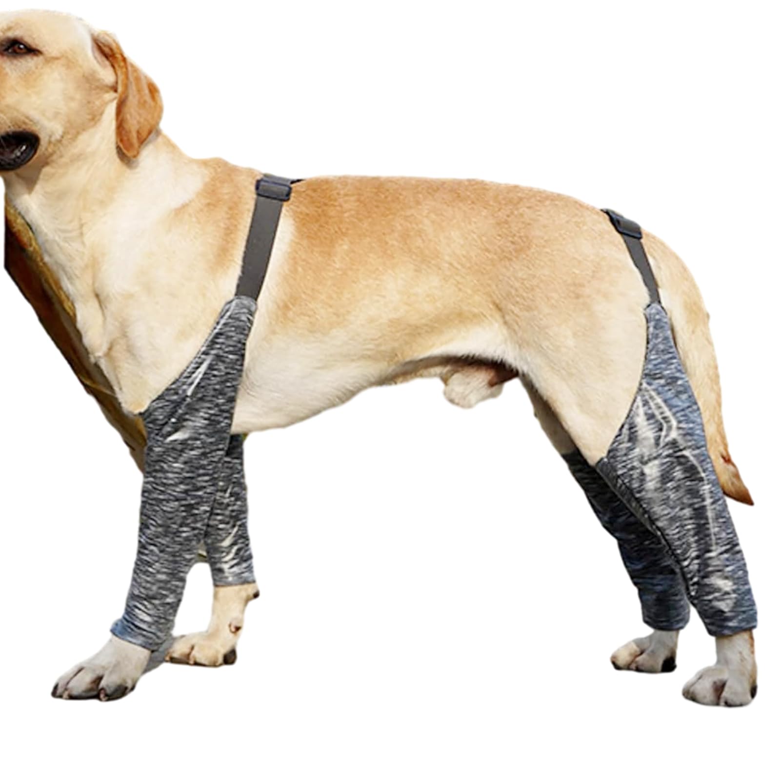 Dog Leg Chew Guard Waterproof Anti-Dirty Protective Suit Joint Wrap Sleeves
