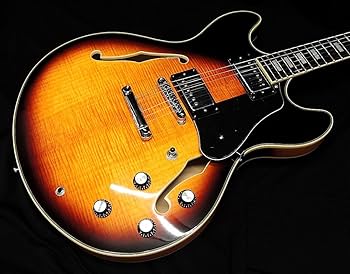 Amazon | Sire Larry Carlton H7 VS サイアー ラリーカールトン