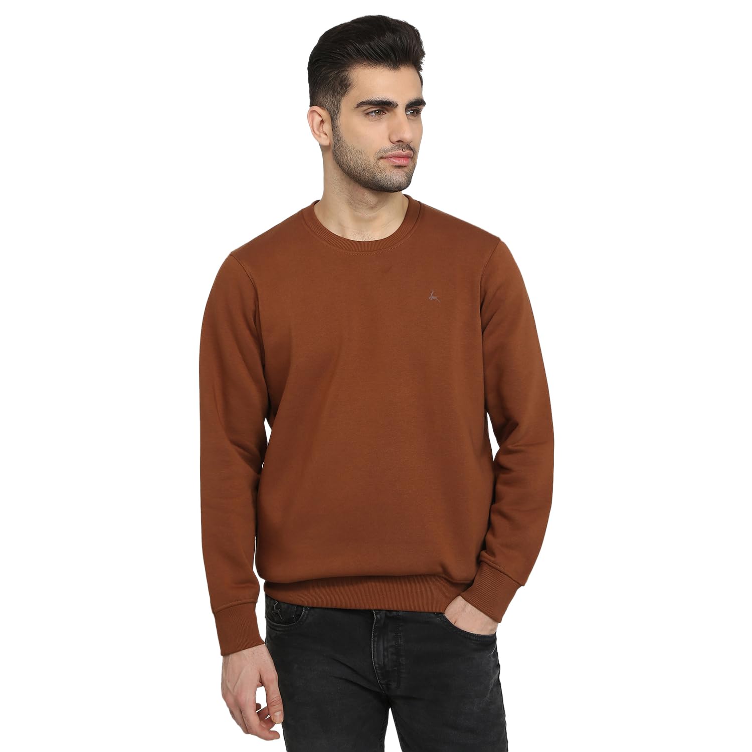 parx Men Full Sleeve Regular Fit Solid Pattern Cotton Polyester Blend Round Neck Round Neck Casual Sweatshirt-picture-39