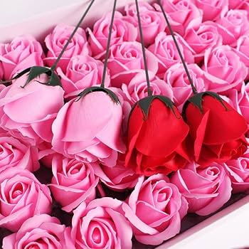 61OdFNupCwL._AC_UF350,