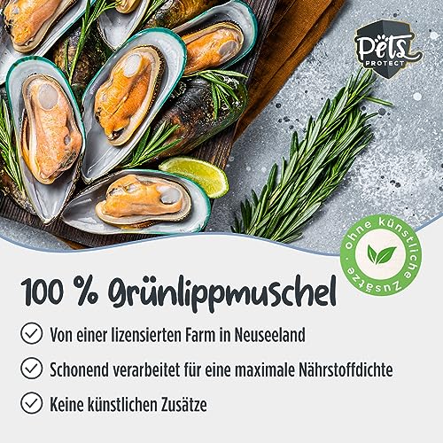 Pets PROTECT 100% Grünlippmuschel-Pulver für Gelenk-Funktion | Sehr hoher Gehalt an Glykosaminoglykanen (3,5%) | Beste Vollfettqualität | Ohne Zusätze | Hund & Katze | 150 g Grünlippmuschelpulver