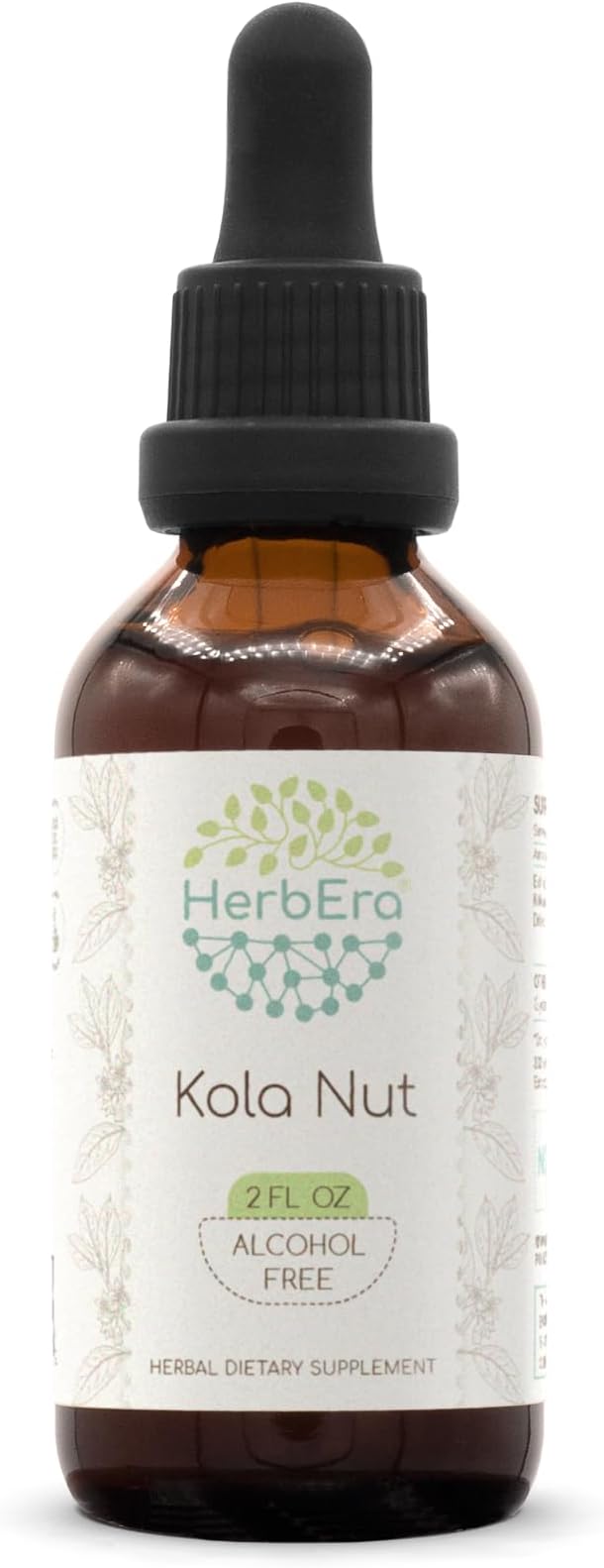 HerbEra Kola Nut B60 Alcohol-Free Herbal Extract Tincture, Concentrated Liquid Drops Natural Kola nut (Cola Acuminata) (2 fl oz)