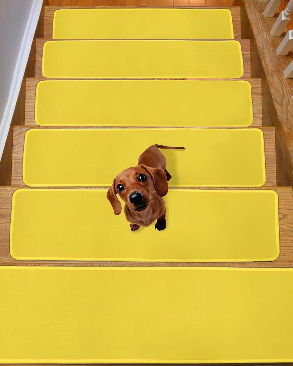 Stair Treads Non Slip for Wooden Steps Pure Yellow Solid Color Stair Runner Carpet Reusable Adhesive Staircase Rugs for Kids, Elders and Pets, 8x30 Inch, 10PCS