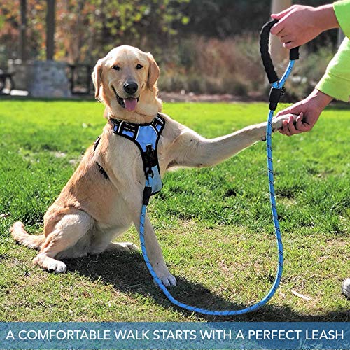 Petmegoo 5Ft 1/2In Strong Blue Dog Leash For Large Dogs & Medium Size Dogs - Highly Reflective Heavy Duty Dog Rope Leash With Soft Padded Anti-Slip Handle- For 18-120 Lbs Dogs #TOP6