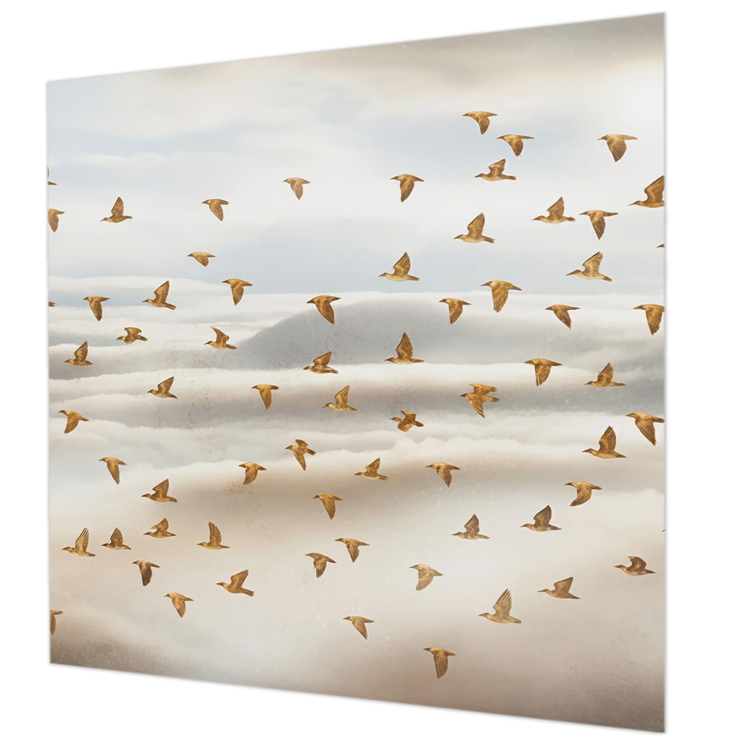 Papier peint oiseaux en vol pour chambre à coucher cosy 250x250