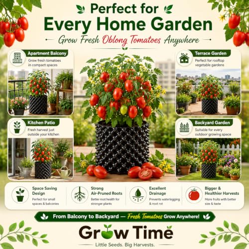 Image of Oblong Tomato Vegetable Seeds, Vegetable Seeds for Home Gardening, Vegetable Planting Seeds for Kitchen, Tomato Seeds (Pack of 2g)