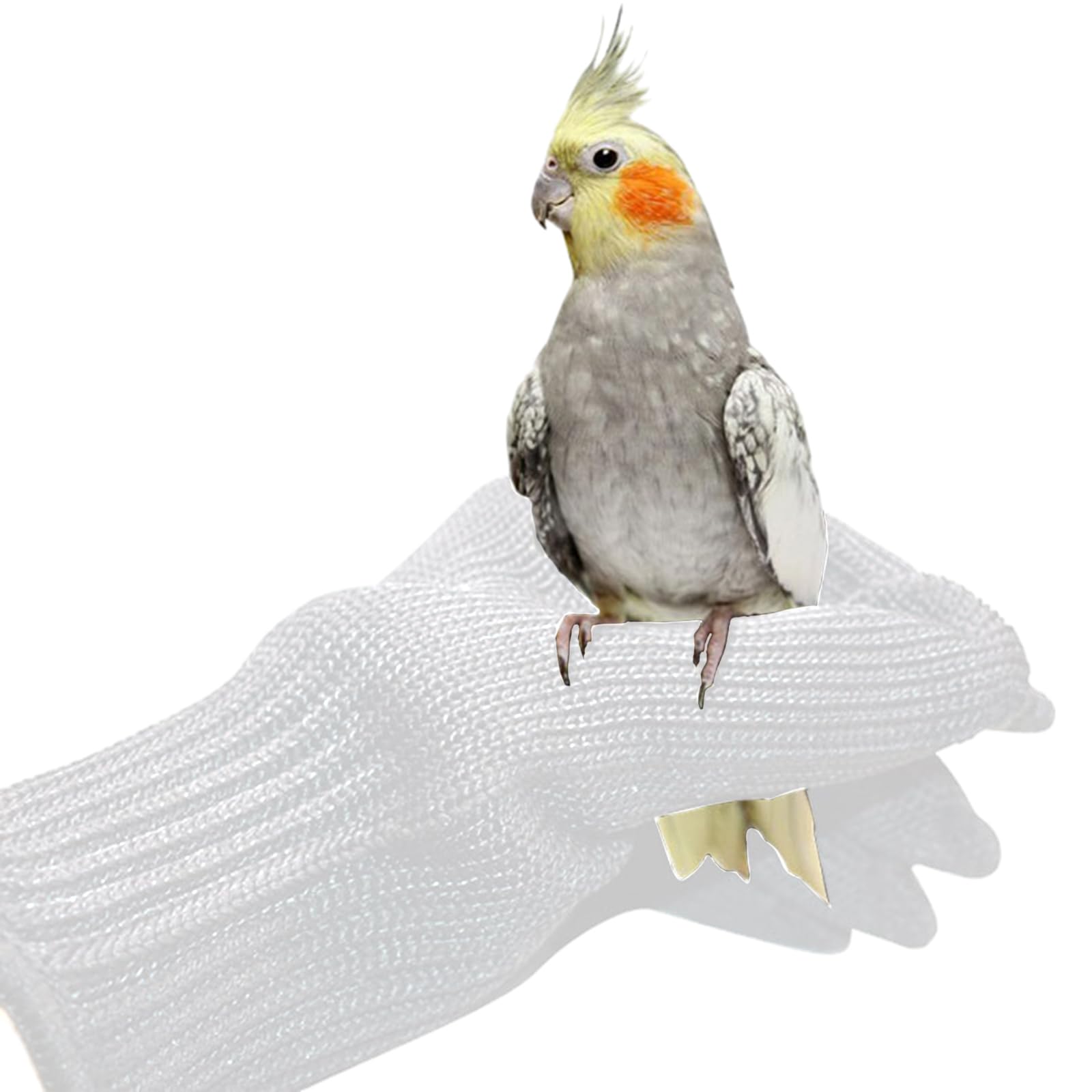 Lot De 4 Anneaux Anti-morsure En Aluminium Pour Nichoirs - Protection Contre Les Nuisibles, Pour Perroquets Et Oiseaux