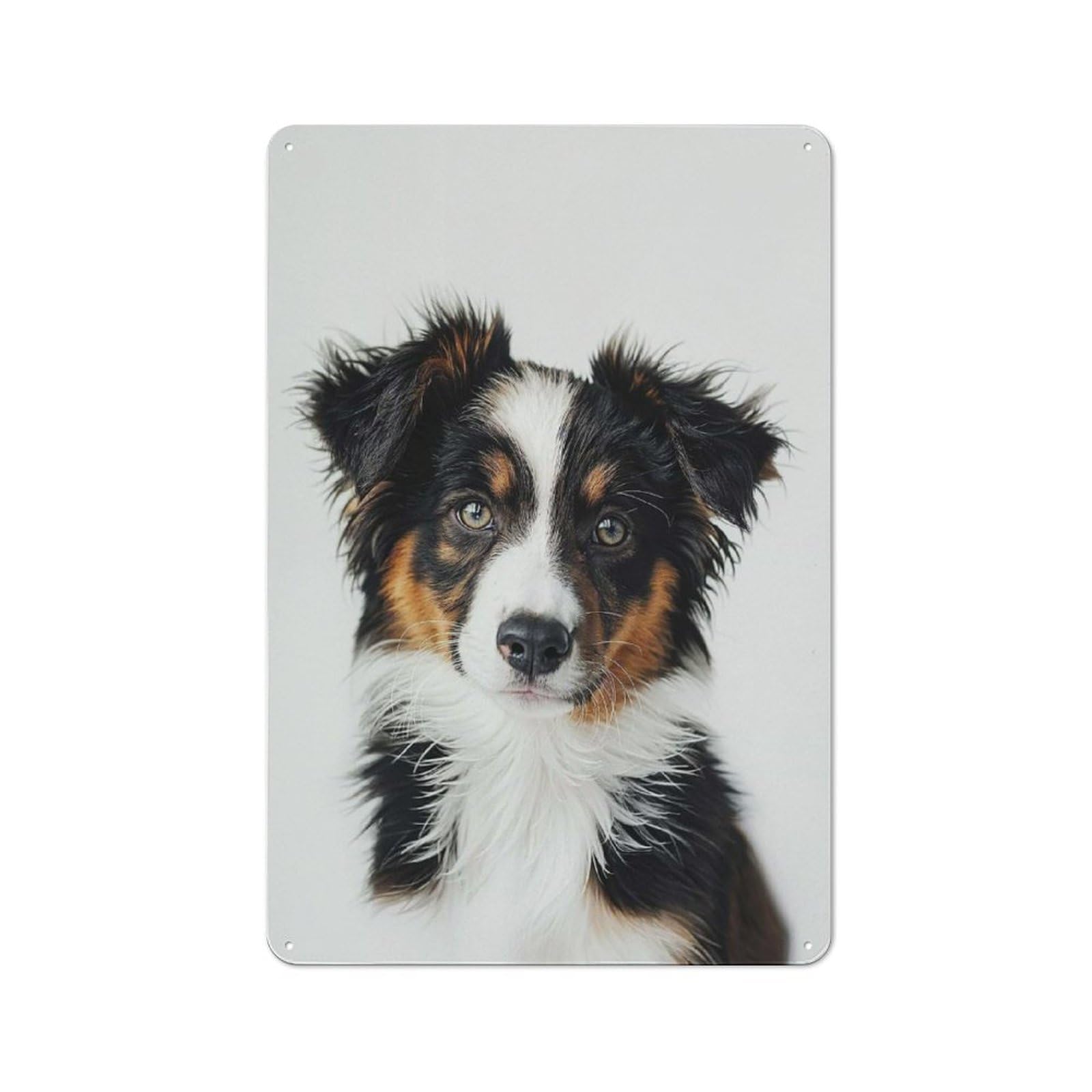 Junmoney Style-21 Tin Wall Sign With Baby Australian Shepherd Design 30X20cm, Classic Kitchen Wall Decor For Restaurant, Kitchen, Counter Or Breakfast Nook
