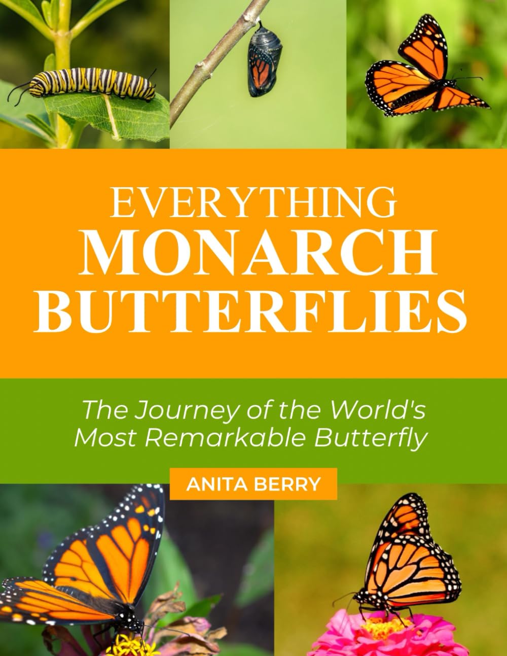 EVERYTHING MONARCH BUTTERFLIES      Paperback – Large Print, January 10, 2026