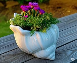 Tomar Decor Decorative Conch Shell Ceramic Planter Vase, White, 12.7 cm 5 inches, Indoor Plant Pot for Home Office Living Room