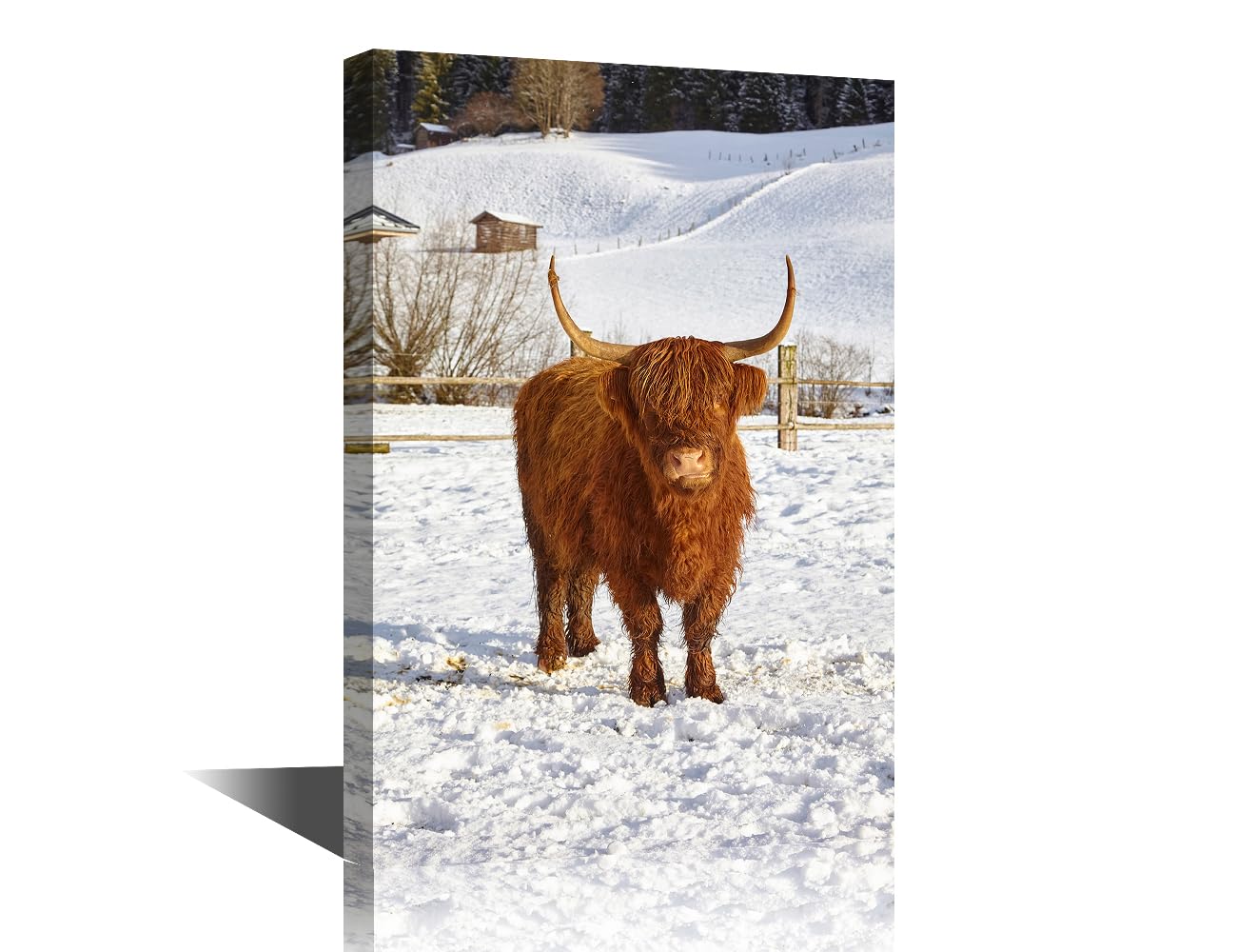 TISHIRON 1 Pieces Animal Home Decor Wall Highland Cattle Framed Wall Art Farm Animal Wall Art for Living Room House Decorations Giclee Gallery-Wrapped Posters and Prints Ready to Hang (16" Wx24 H)