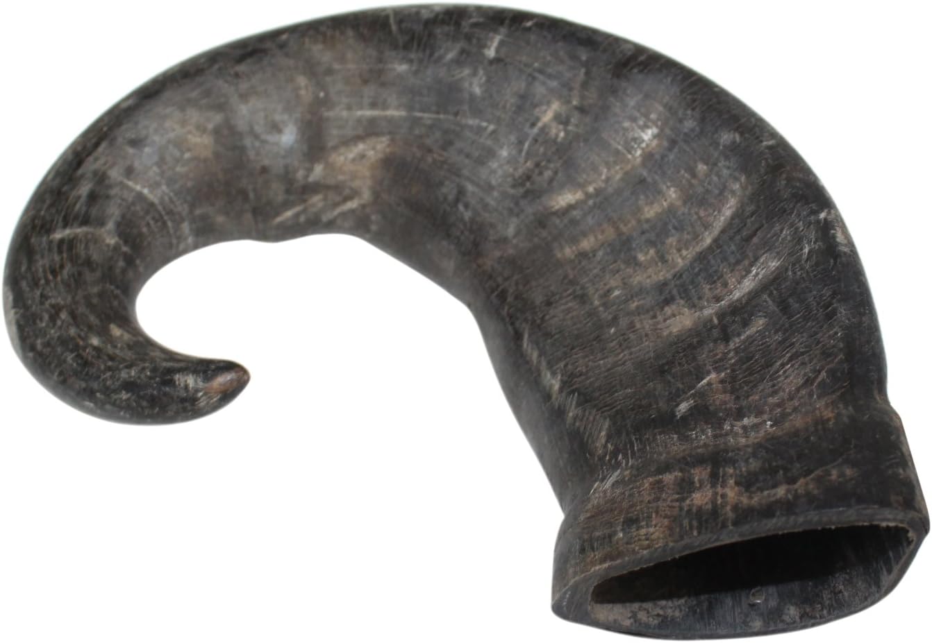 Natural Water Buffalo Bully Horns Edible Treats, Medium/Large