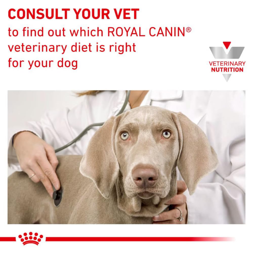 Royal Canin Veterinary Gastrointestinal Low Fat Mousse | 12 x 420 g | Diät-Alleinfuttermittel für ausgewachsene Hunde | Zur Unterstützung der Verdauung und bei Übergewicht