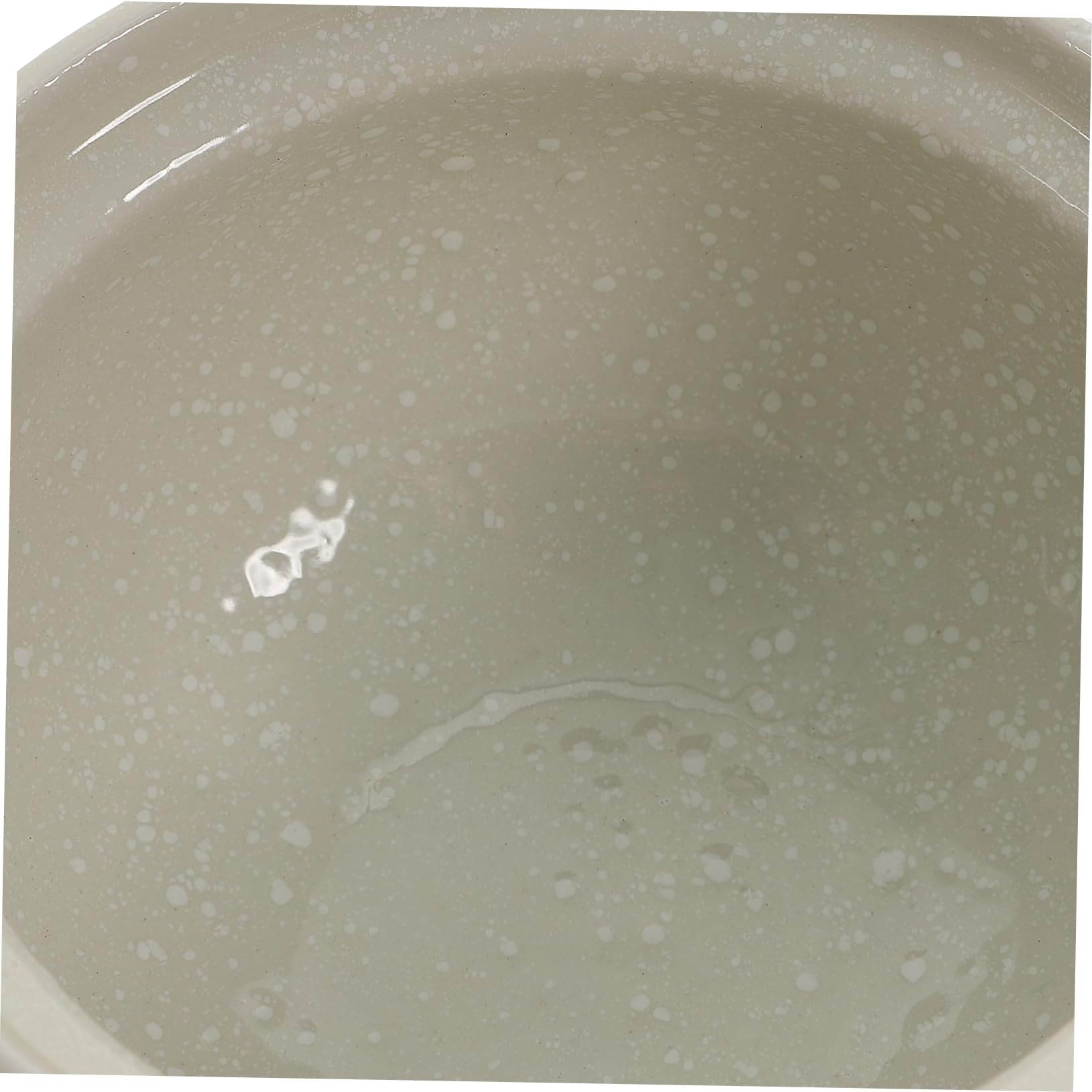 Alipis Ciotola Per Zuppa in Ceramica Coperchio Adatta Per Uso Domestico e Ristorante Versatile Per Zuppe e Antipasti