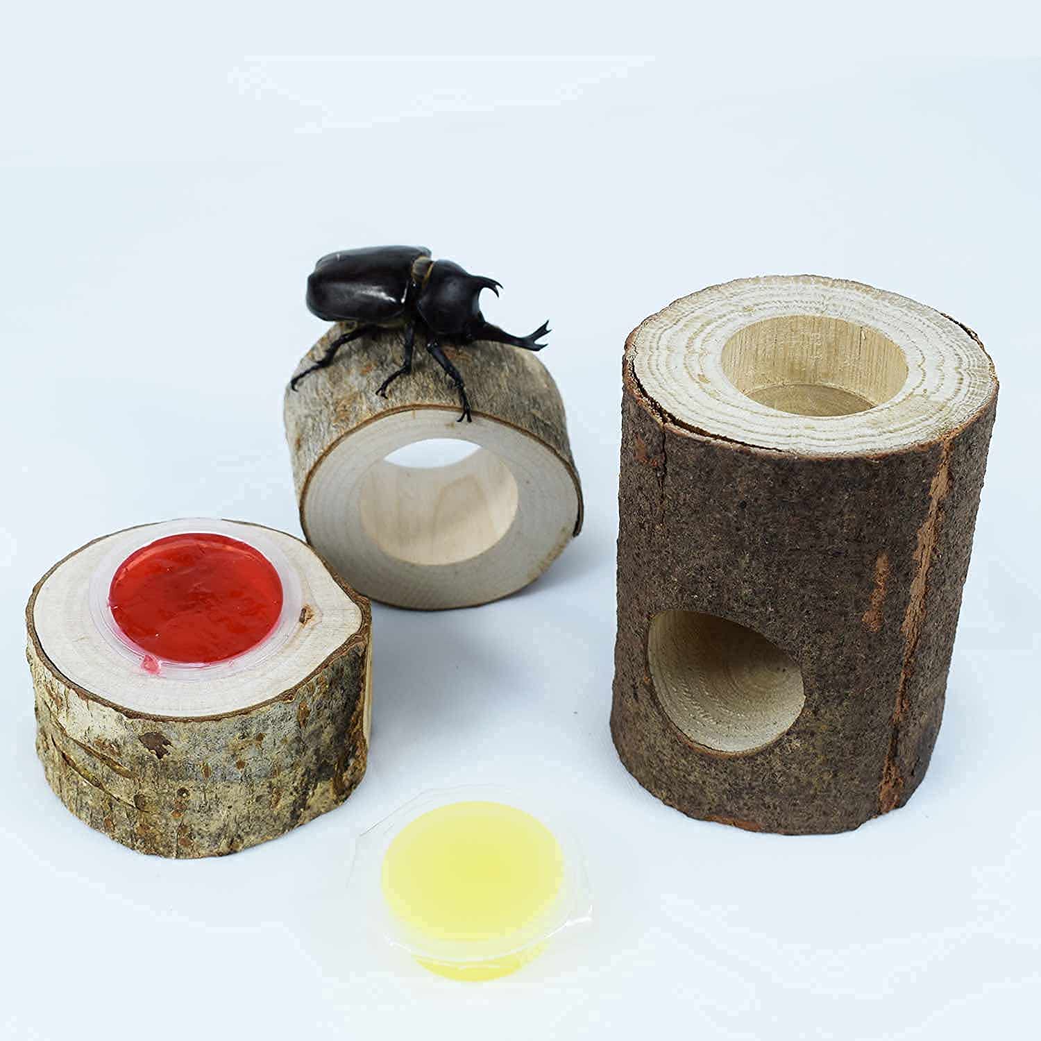 Amazon | 昆虫のかくれ木 のぼり木 クワガタ 隠れ家 飼育木 ゼリーの角