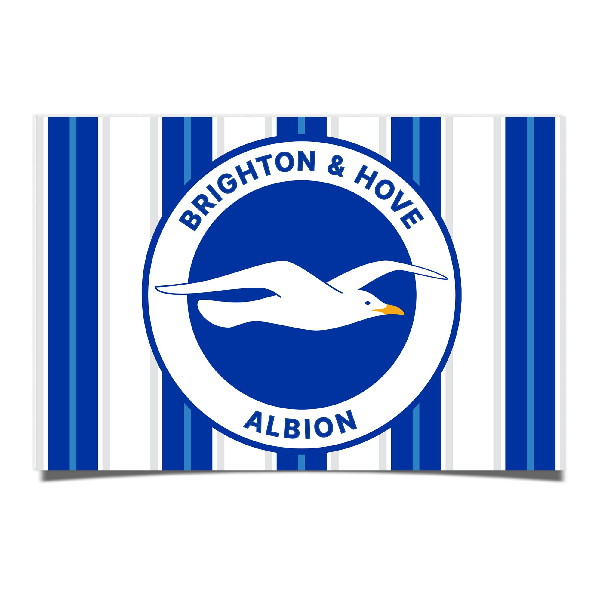 Amazon.com: Desert Cactus Brighton & Hove Albion Poster Football