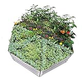 Yansguard Raised Garden Bed , Galvanized Steel Metal Outdoor Planter Kit Box for Vegetables,Flowers,...